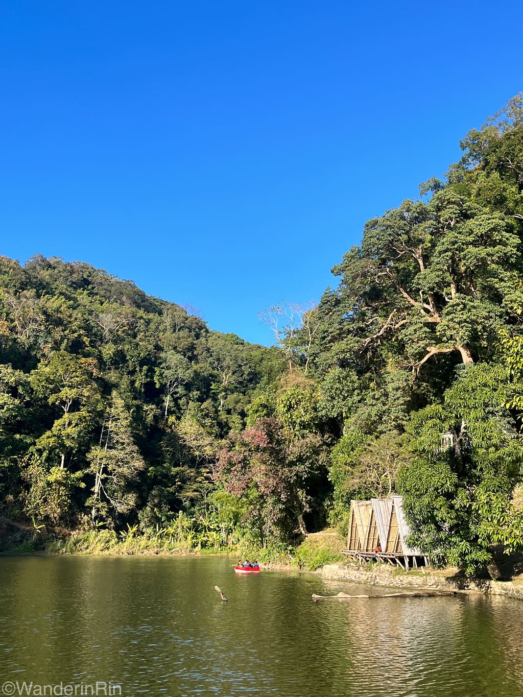 Tamdil lake surrounded by forested hills in Mizoram