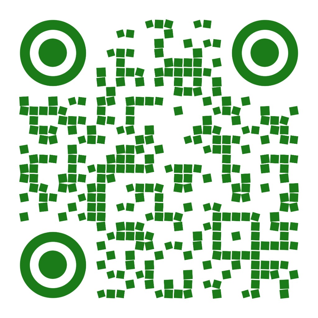 QR code linking to @lilytoursmizoram on Instagram